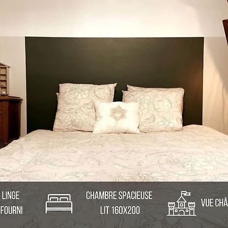 Grand Appartement Place Saint-Pierre, Proche Chateau De Saumur Et Bord De Loire" Esterno foto